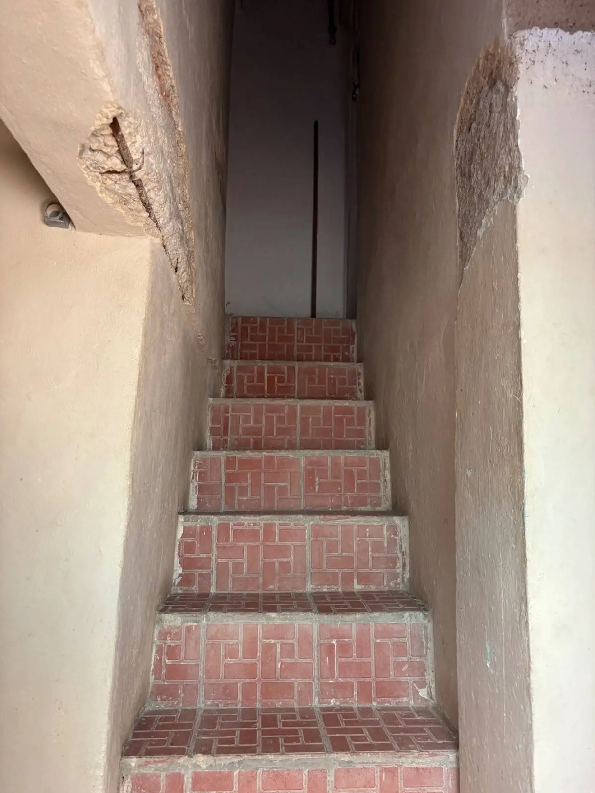 Rento Apartamento en el Cerro, cerca de Tulipan y Ayestaran